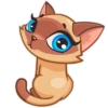 Siamese Kitty 21