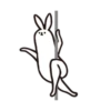 rabbit with beautiful 27