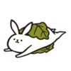 rabbit with beautiful 29