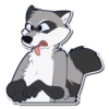 Rosco Raccoon 17