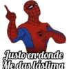 SPIDERMAN 6