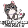 QUIEREME O BAM
TU DECIDES!?