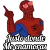 SPIDERMAN 11