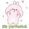 Conejito tierno 6