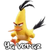 Angry Birds 5
