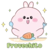 Conejito tierno 7