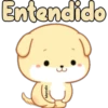 Entendido
Marcelo