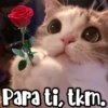 Para ti, tkm.