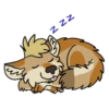 Trashdog 11