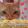 Yo
Tú, bien sabrosx