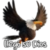 Angry Birds 8