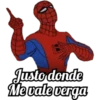 SPIDERMAN 19