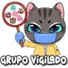 GRUPO VIGILADO