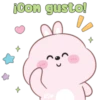Conejito tierno 15