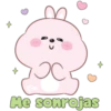 Conejito tierno 17