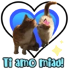 Ti amo miad!