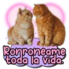 +
Ronroneame
toda la vida.
+