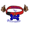 Trashdog 17