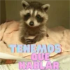 Animalitos Random 15