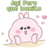 Conejito tierno 19