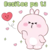Conejito tierno 20