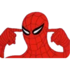 SPIDERMAN 25