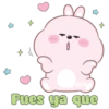 Conejito tierno 24
