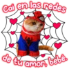 Cai en las redes
de tu amor bebê.