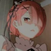 ram 12