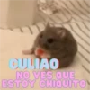 Animalitos Random 21