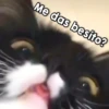 Me das besito?