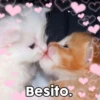 3
Besito.