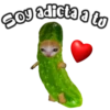 Soy adicta a to