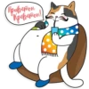 RainbowSmileCats 15