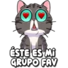 ÉSTE ES Mi
GRUPO FAV