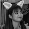 Jennie's Mod 29