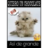 Así de mucho... Así de grande 7