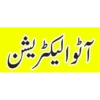 آٹو الیکٹریشن