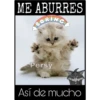 Así de mucho... Así de grande 9