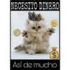 Así de mucho... Así de grande 10