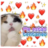 Melestas
tentando
Persy