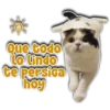 Que todo
LO Lindo
te persica
hoy
Persy