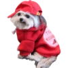 Perrito blanco(NORBERT) 7