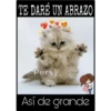 Así de mucho... Así de grande 13