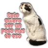 SoLo
Quiero
ver un
POCO Mas
de eso
Persy