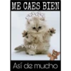 Así de mucho... Así de grande 14