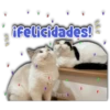 ifelicidades!
Persy