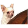 Segundo 9