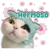 Hermoso
Persy