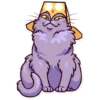Funny cats 6